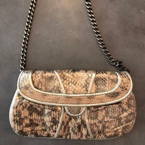 Rafe gold snake python clutch